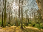 064-duesseldorf - forest cemetery gerresheim