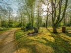 122-duesseldorf - forest cemetery gerresheim