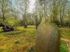 124-duesseldorf - forest cemetery gerresheim