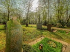 125-duesseldorf - forest cemetery gerresheim