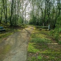193-duesseldorf - forest cemetery gerresheim