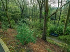 197-duesseldorf - forest cemetery gerresheim