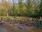 198-duesseldorf - forest cemetery gerresheim