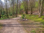 0096-duesseldorf - forest cemetery gerresheim