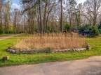 0099-duesseldorf - forest cemetery gerresheim