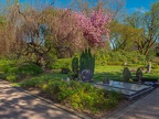 135-herne - south cemetery
