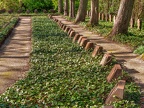 180-herne - south cemetery