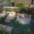 0341-cologne melaten cemetery