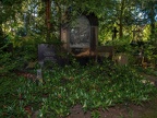 0501-cologne melaten cemetery