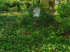 0087-cologne melaten cemetery