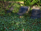 0349-cologne melaten cemetery