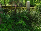 0120-cologne melaten cemetery