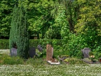 0193-cologne melaten cemetery