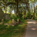 0357-cologne melaten cemetery