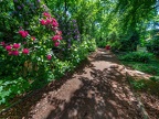 047-duisburg forest cemetery