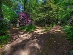 091-duisburg forest cemetery