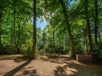 185-duisburg forest cemetery