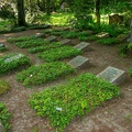 229-duisburg forest cemetery