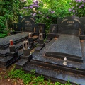 249-duisburg forest cemetery
