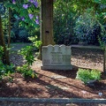 259-duisburg forest cemetery
