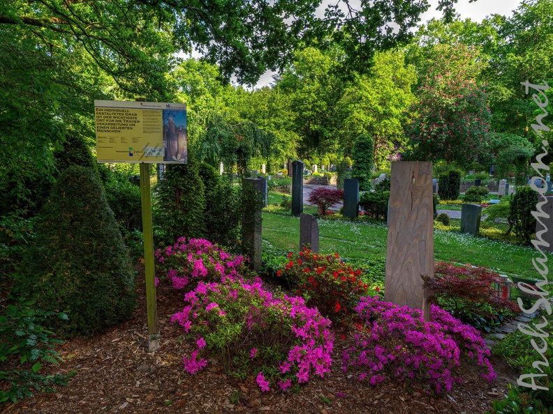 280-duisburg forest cemetery