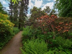 098-dortmund romberg park botanical garden