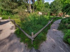132-dortmund romberg park botanical garden