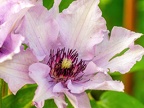 201-dortmund romberg park botanical garden