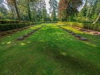 230-cologne southern cemetery
