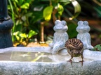 048-local garden