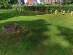 050-siegburg - north cemetery