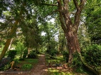 137-siegburg - north cemetery