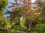 236-iserlohn - main cemetery