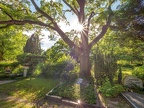 391-iserlohn - main cemetery