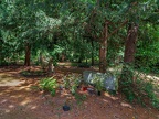 104-cologne east cemetery