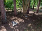 112-cologne east cemetery