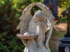 228-dusseldorf cemetery stoffeln