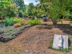 231-dusseldorf cemetery stoffeln
