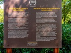 248-dusseldorf cemetery stoffeln