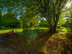 022-essen - werden ii cemetery