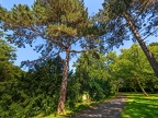 009 - essen - park cemetery