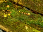 019-essen - park cemetery