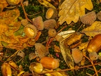013-essen - park cemetery