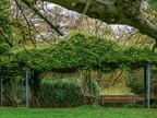 004-essen grugapark botanical garden