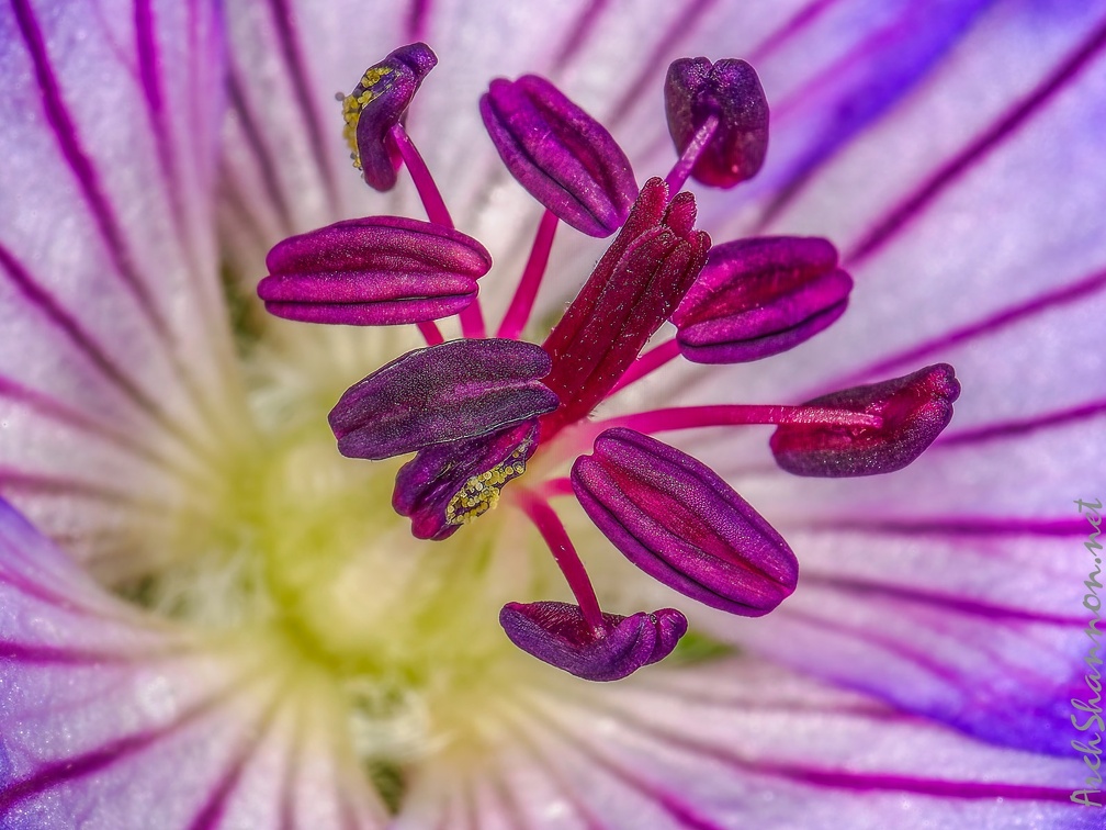 0416-essen grugapark botanical garden