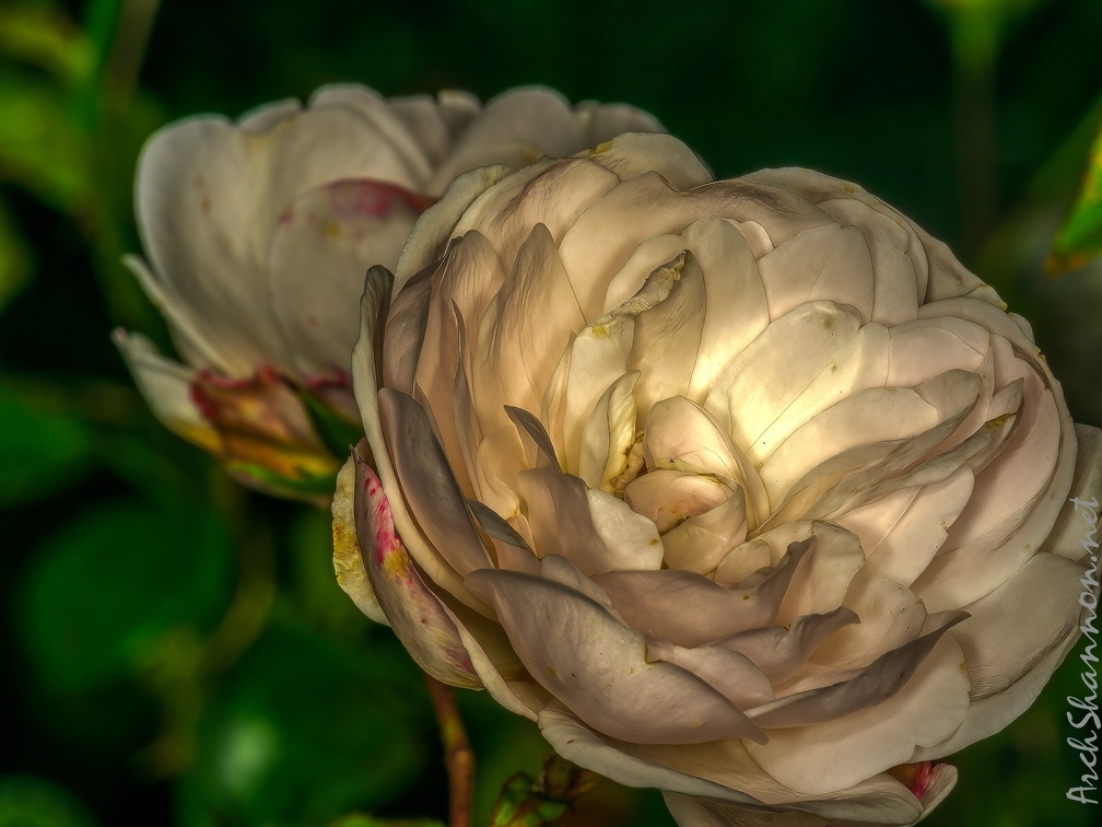 0450-essen grugapark botanical garden