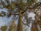 017-essen - east cemetery