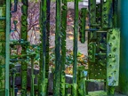003-essen grugapark botanical garden