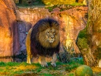 033-zoom adventure world - gelsenkirchen - park