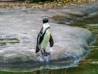 113-zoom adventure world - gelsenkirchen - park